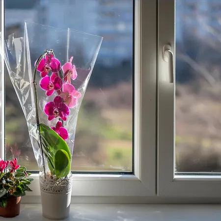Mila Διαμέρισμα *